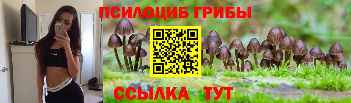 Псилоцибиновые грибы Magic Shrooms Александров